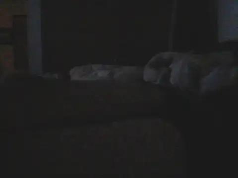 Silencio26 élő XXX-chatje