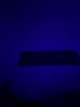 GusanoDelicioso Pertunjukan Webcam