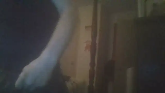 Chat XXX ao vivo de Sir_Spun_Son