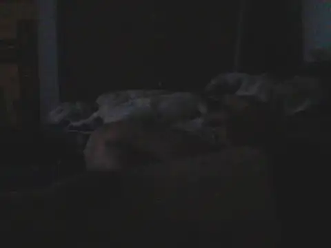 Silencio26 live XXX chat
