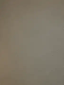 PrincessRayari's Live XXX Chat