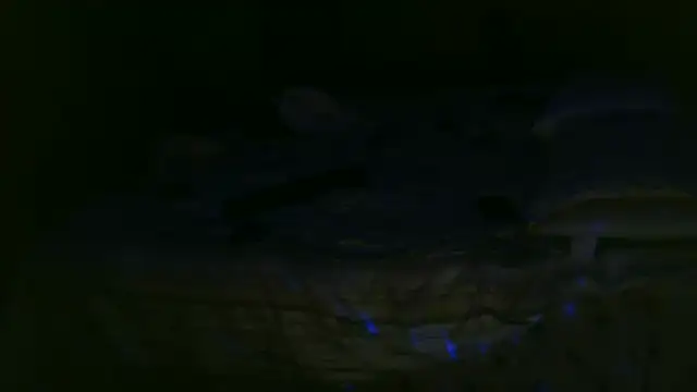 2damnfreakyのライブXXXチャット