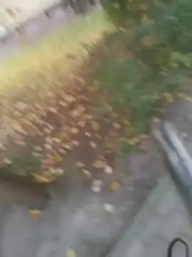 Webkamerová show nensyjusty21