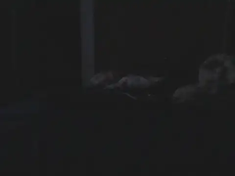 Silencio26 Live XXX Chat