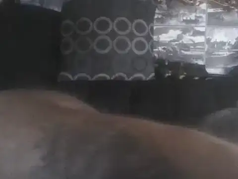Webkamerová show Vibe420630