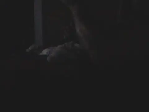 Silencio26 Show in webcam