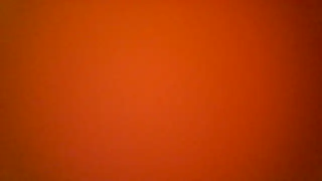 MissVegas 라이브 XXX 채팅