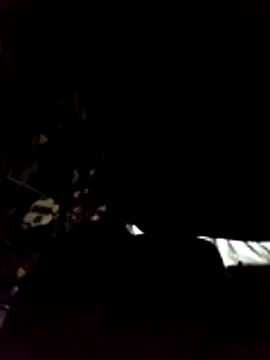 Show de NutlikePith na webcam