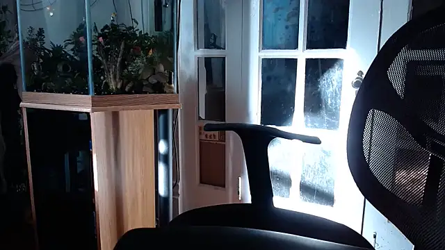 Czat XXX na żywo – EspanolVato