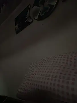 Shusshiy 网络视讯表演