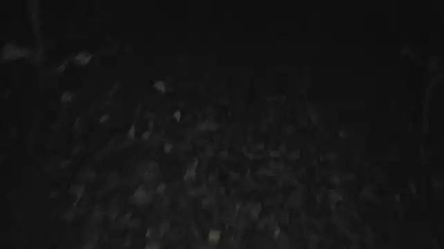 Chat +18 de Vuitton ao vivo