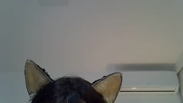 Show de webcam de SkinnyKitten
