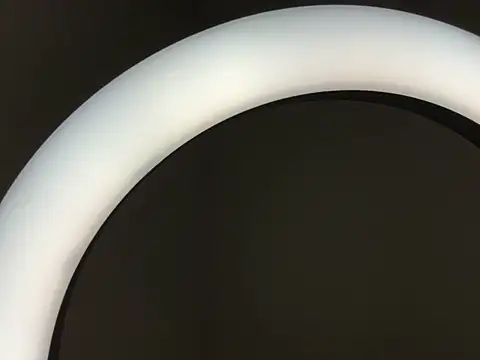 koalaClub's Live XXX Chat