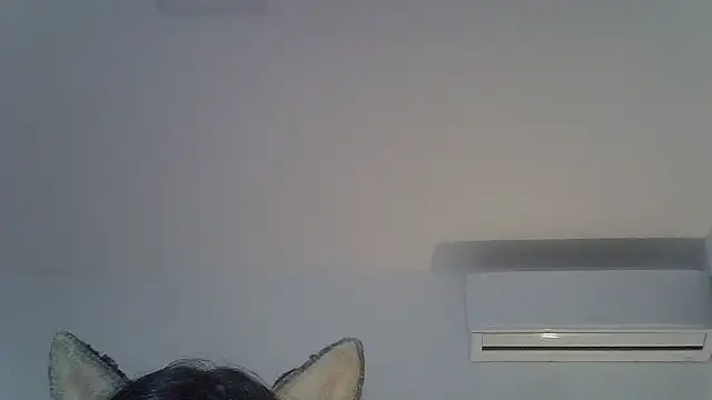 Chat +18 de SkinnyKitten ao vivo