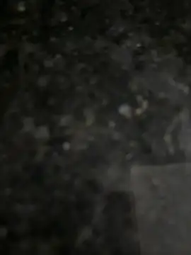 MysunllMBb Chat XXX live