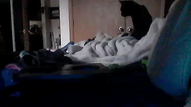 Silencio26 webcam show