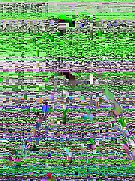 NoahBull19 现场XXX聊天