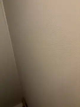 dvoi 웹캠 쇼