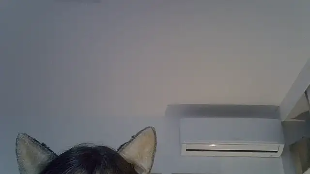 Show de webcam de SkinnyKitten