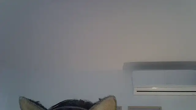 Chat +18 de SkinnyKitten ao vivo