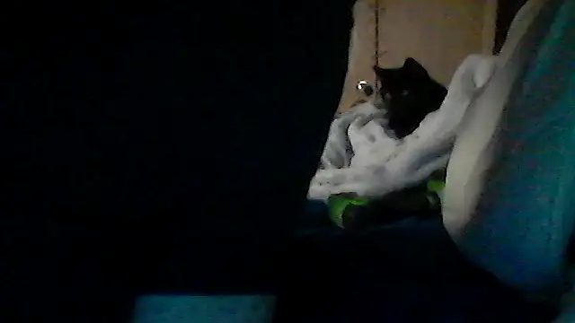 Chat +18 de Silencio26 ao vivo