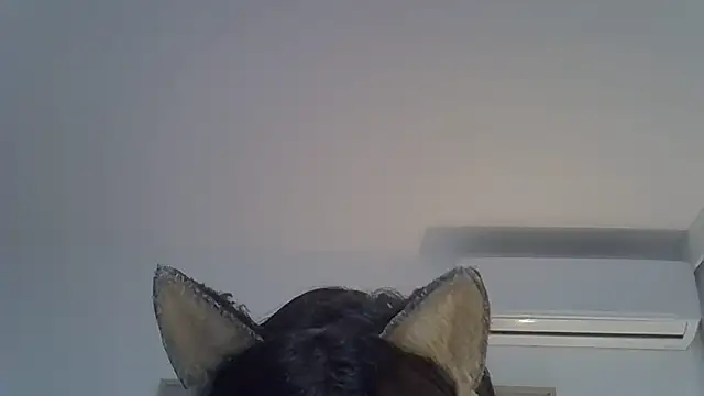 Show de webcam de SkinnyKitten