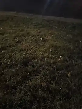 Homeless_hunter 现场XXX聊天