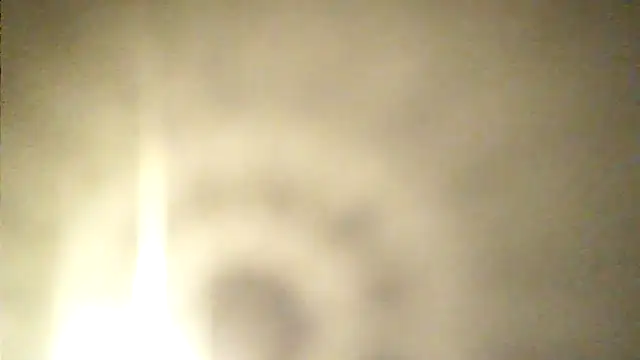 Show webcam de duedpicche