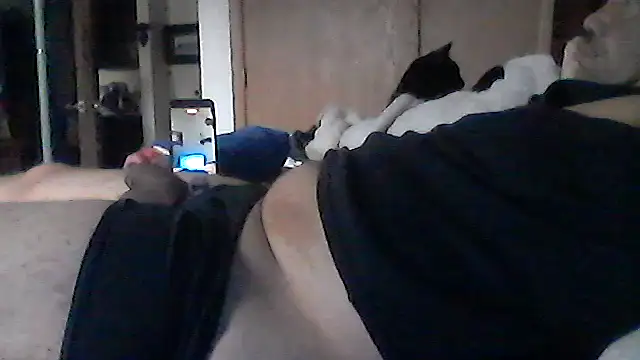 Silencio26's Live XXX Chat