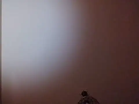Ch-noirot webcam show