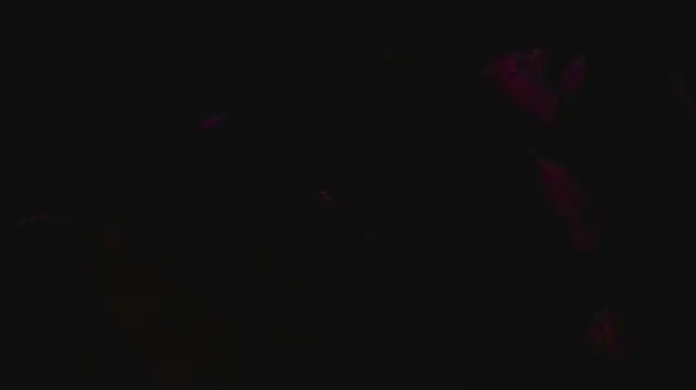 slutforyou_ Webcam show