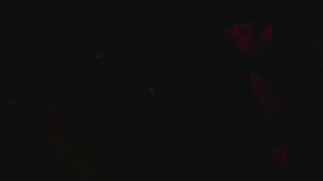 slutforyou_ Webcam-Show