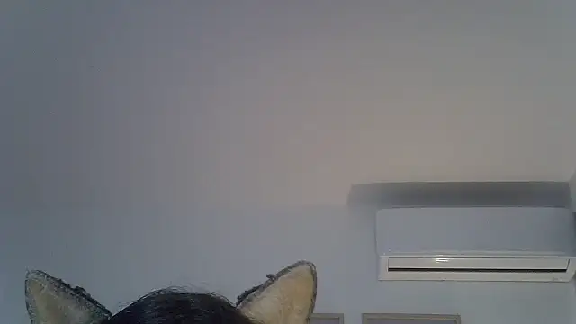 Show de webcam de SkinnyKitten