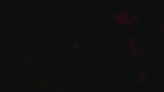 slutforyou_ – webcam-show