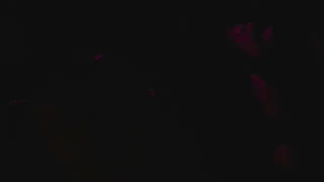 slutforyou_ Webcam-Show