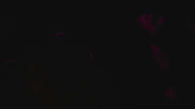 Вебкам-шоу slutforyou_
