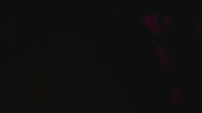 Show de webcam de slutforyou_