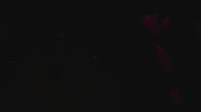 slutforyou_ Webcamshow