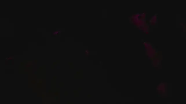 slutforyou_ – webcam-show