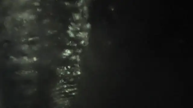 XXXArias766 লাইভ XXX চ্যাট