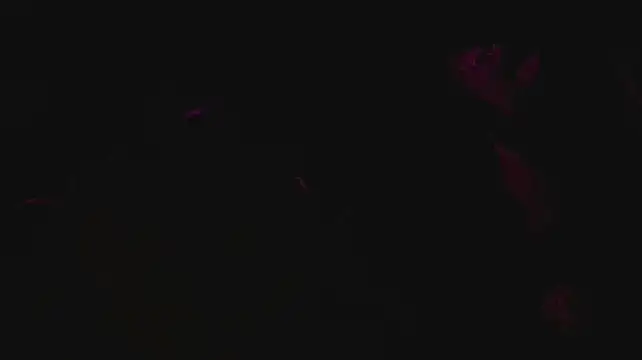 slutforyou_ Webcamshow
