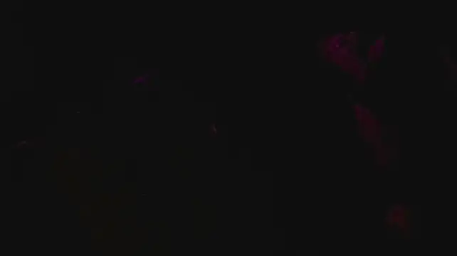 slutforyou_ – webcam-show