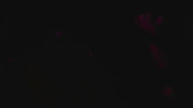 Show de webcam de slutforyou_