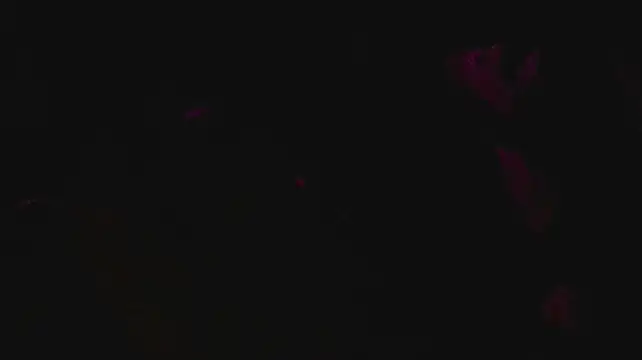 Show de slutforyou_ na webcam