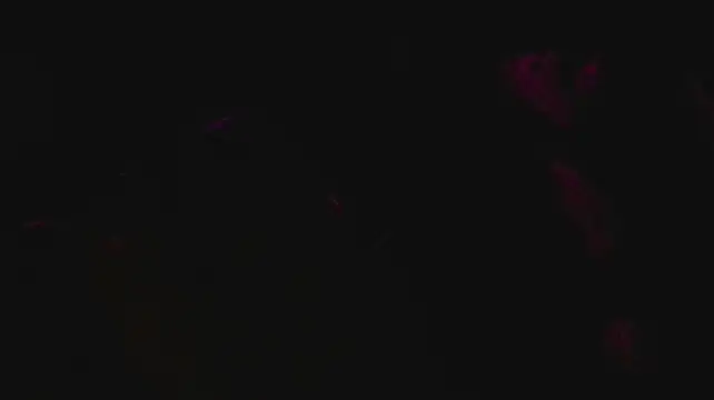 Show de webcam de slutforyou_