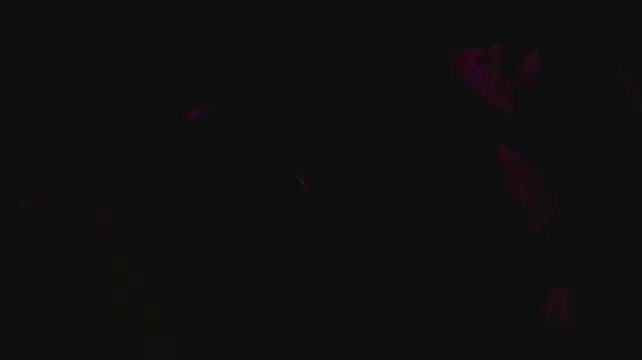 slutforyou_n Webbikameraesitys