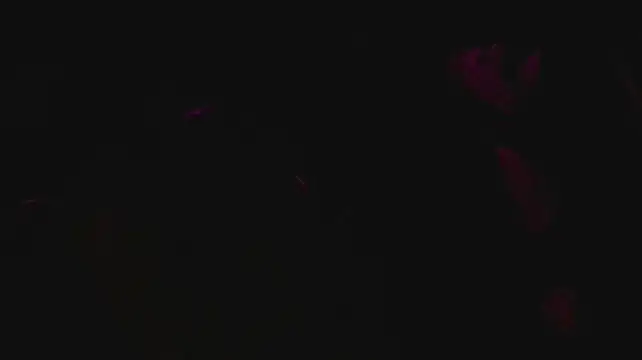 slutforyou_ webcam show