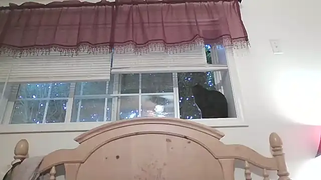 playgurl_45's Live XXX Chat