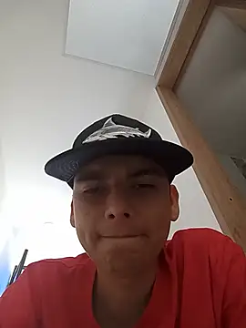 Stallion_cashn Webbikameraesitys