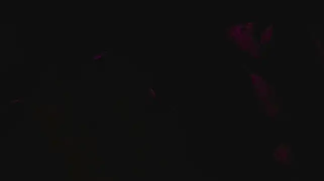 slutforyou_ Webcam-Show